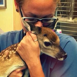 Meet your Posher, Aimee